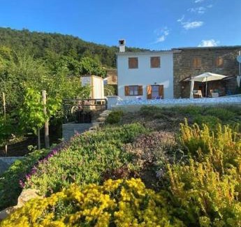 Sovinjska Brda Villa | Kuća Zanetta sa bazenom