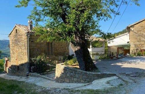 Sovinjska Brda Villa | Kuća Zanetta sa bazenom