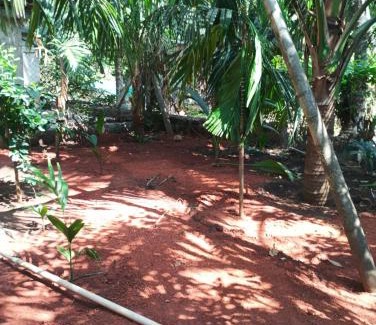 Mhsala House | Kudalkar House