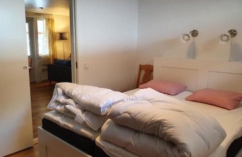 Saxnas Apartment | Kultsjögården-Saxnäs-Marsfjällen 9