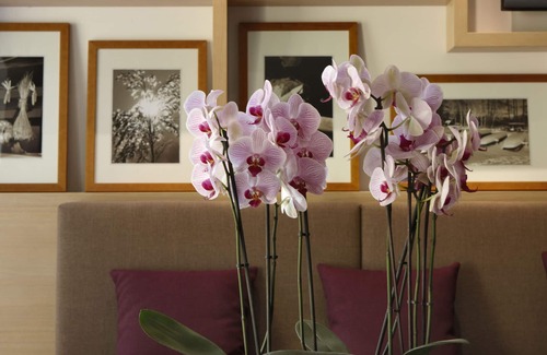 Burg Hotel | Kur- & Wellness Haus Spree Balance