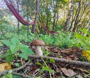 gmina Bełzec House | Kurna Chata