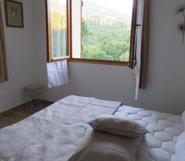 Vivario Bed & Breakfast | l'altore di savaghju