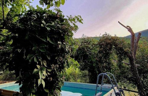 El Real de San Vicente House | La Casa de Cadia 2