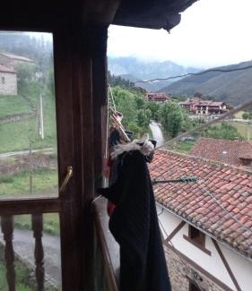 Frama Apartment | La casa de los gatos