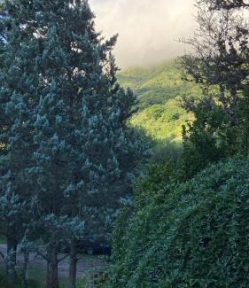 Dr. Enrique Zarate Ski Chalet | La casa de Pedro