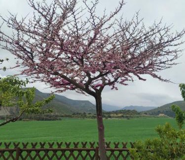 Olocau del Rey House | La Casa Del Llano