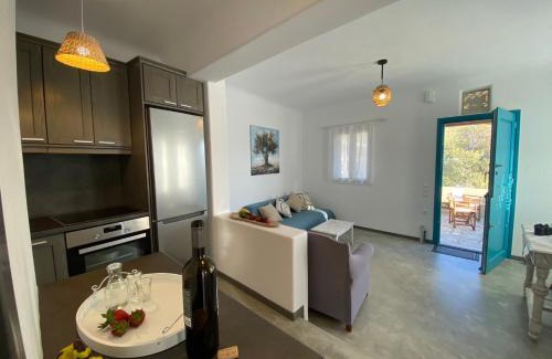 Agios Romanos Apartment | La Casa di Romano