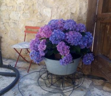 Valleruela de Sepulveda House | LA CASA NUEVA