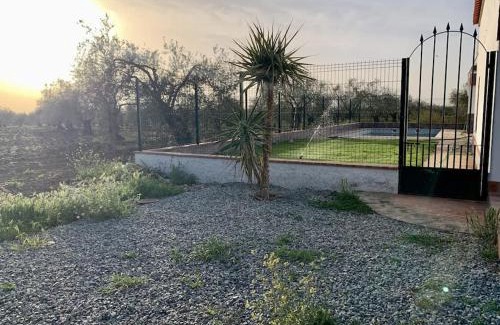 Fuente de Cantos House | La Casa Rural de María Jesús