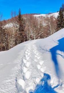Abetone Apartment | La casetta di Diego