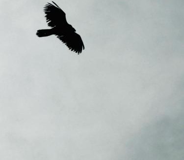 Segura de la Sierra House | La Casita del Ojuelo