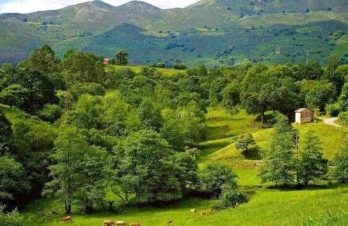 Tresgrandas House | La Casona de Obdulia