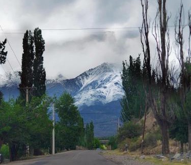 Salto House | La Clavelina