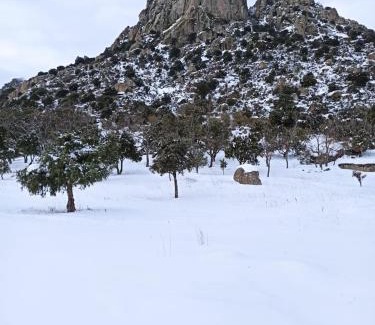 La Cabrera Apartment | La Consentida