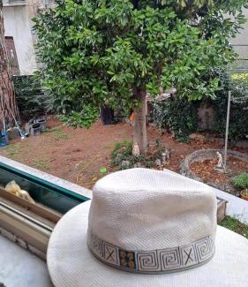 Marino House | la gatta bianca