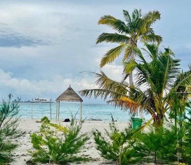 Guraidhoo Hotel | La Isla Tropica