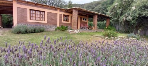 Province of Catamarca Ski Chalet | La Killuna