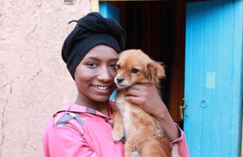 Ait Boukha House | La maison saharaouie