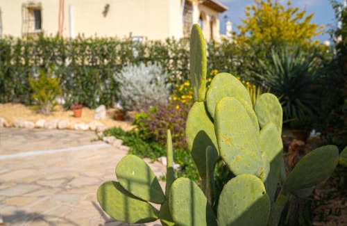 Orba Apartment | La Mandarina