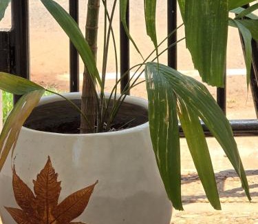 Kuilapalayam Hotel | La Perle Cachee Villa