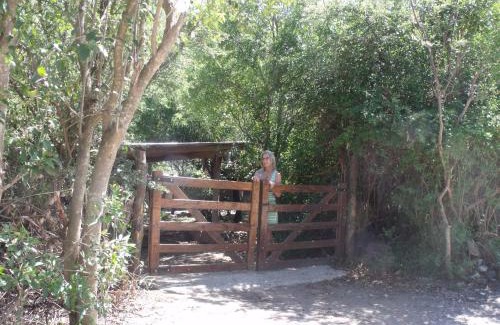 San Javier House | La Quebradita