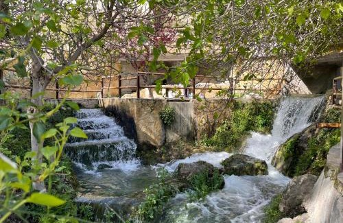 Hinojares House | La Rosita alojamiento rural
