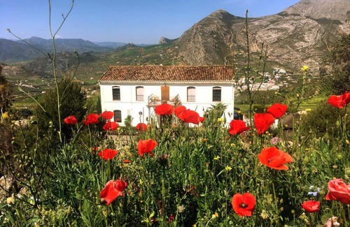 Valle de Abdalagis Bed & Breakfast | La Sorpresa