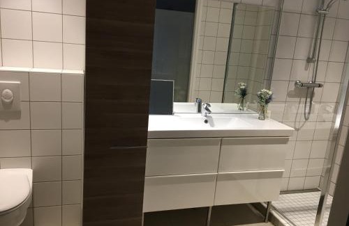 Nancy City Centre House | La Suite Alain