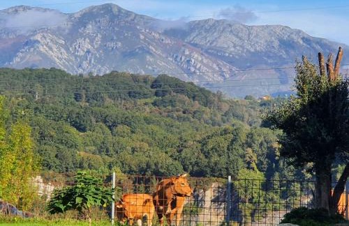 Parres House | La Torre de Llames Arriondas VV-1401-AS