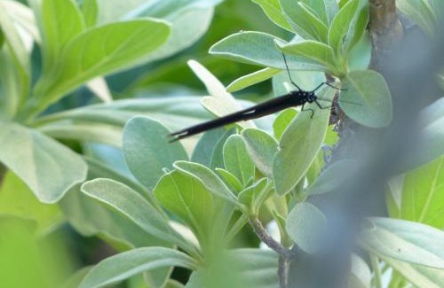 Gangkou House | La View 麗晨 Homestay