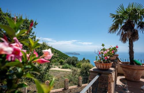 Pisciotta Villa | la villa di nonna angela