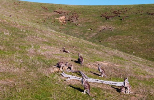 Mansfield House | Lake Breeze