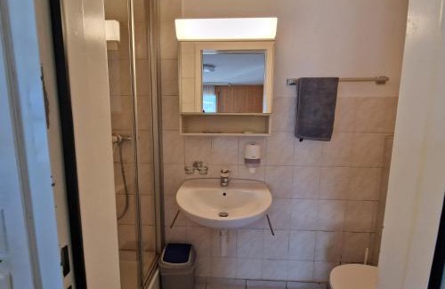 Niederried bei Interlaken Apartment | Lake facing Studio