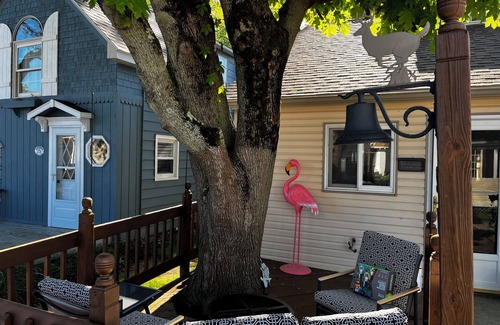 Ashtabula Cottage | Lake front updated cabin-close to everything!