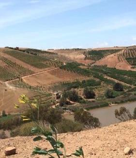 Boulaouane House | Lake House Boulaouane