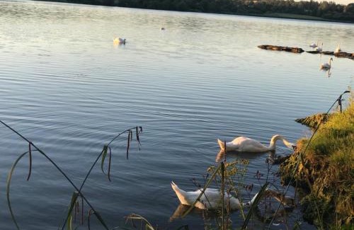 Bantry Apartment | Lakeside Lookout Bantry