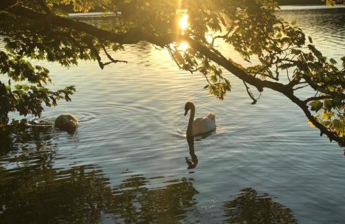 Bantry Apartment | Lakeside Lookout Bantry