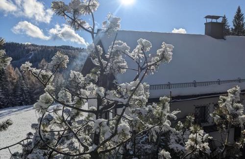 Schoenberg-Lachtal Ski Chalet | LaLo Alm - Berge erleben
