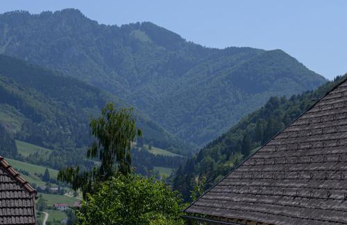 Grossraming Hotel | Landgasthof Kirchenwirt