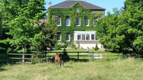 Niederkassel Apartment | Landgut vor den Toren von Köln