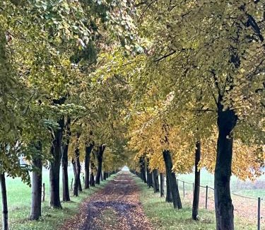 Friesack Apartment | Landgut Ziegler