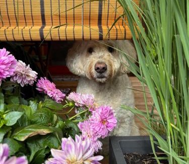 Kukmirn House | LANDHAUS AnnMarie