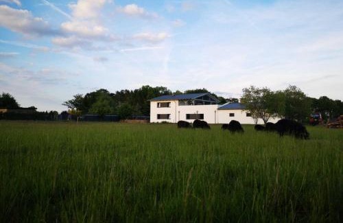 Nardt House | Landhaus Kirchberg