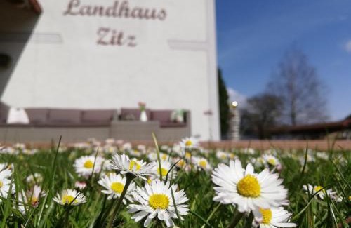 Ranten Apartment | Landhaus Zitz