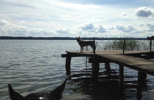 Muritz House | Landhof zur Meierei
