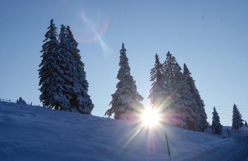 Gasen Hotel | Landhotel-Restaurant Willingshofer