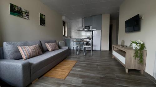 Arenas de Cabrales Apartment | Lapaserina B