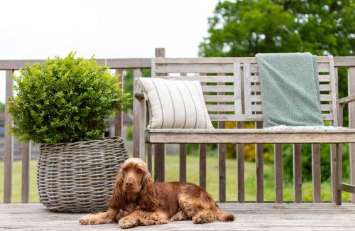 West Tanfield Ski Chalet | Lapwing Lodge Riverdale