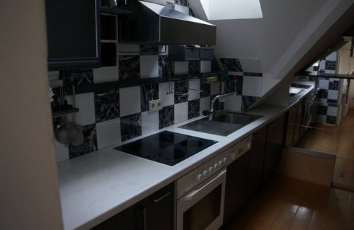 Orth an der Donau Apartment | Large attic apartment near the Danube wetlands